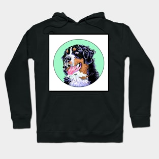 BERNER DOG GREEN Hoodie